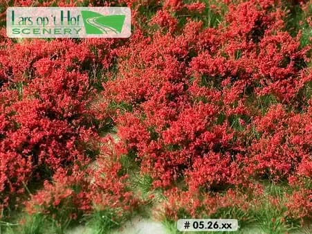 Lars op 't Hof Scenery 05.26 Bloemen rood 15 x 21 cm