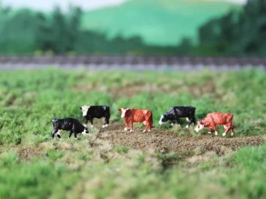 VPS NVPS 203 Groninger Blaarkop (5 stuks) schaal N