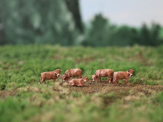 VPS NVPS001 Zwitsers Braunvieh (5 stuks) schaal N