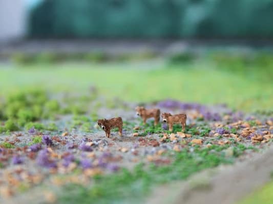 VPS NVPS005 Kalfjes Braunvieg (3 stuks) schaal N