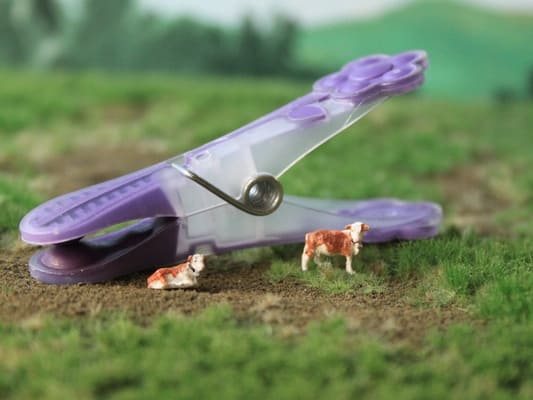 VPS NVPS003 Fleckvieh (5 stuks) schaal N