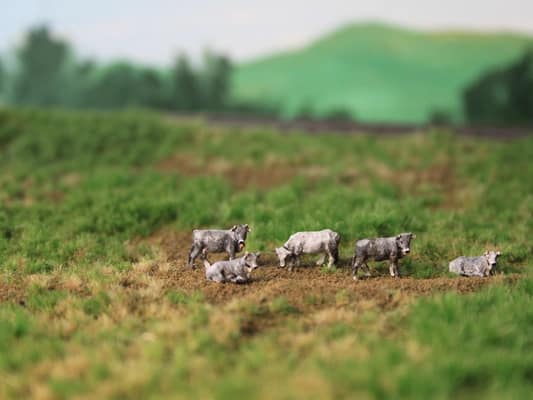 VPS NVPS002 Zwitsers Grauvieh (5 stuks) schaal N