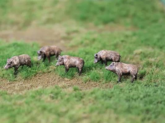 VPS NK01 Wilde zwijnen (5 stuks) schaal N