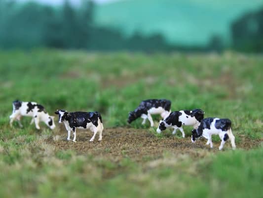 VPS NVPS 201 Holstein Black/White (5 stuks) schaal N