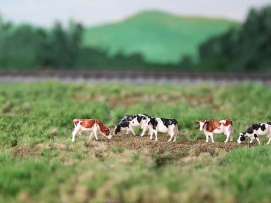 VPS NVPS 202 Holstein Black/White en Red (5 stuks) schaal N