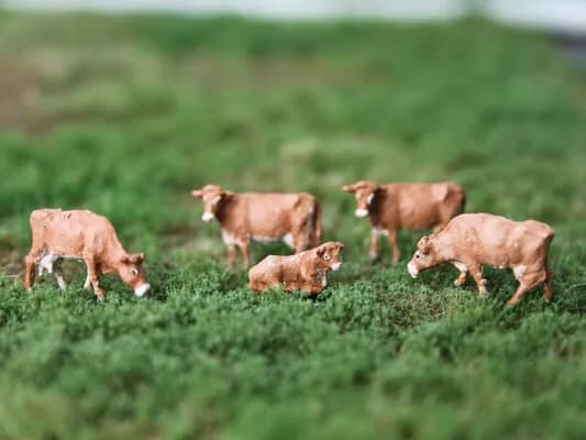 VPS NVPS 209 Limousin (5 stuks) schaal N