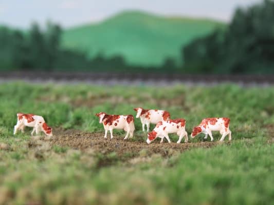 VPS NVPS 205 MRIJ, Maas Rijn IJssel (5 stuks) schaal N