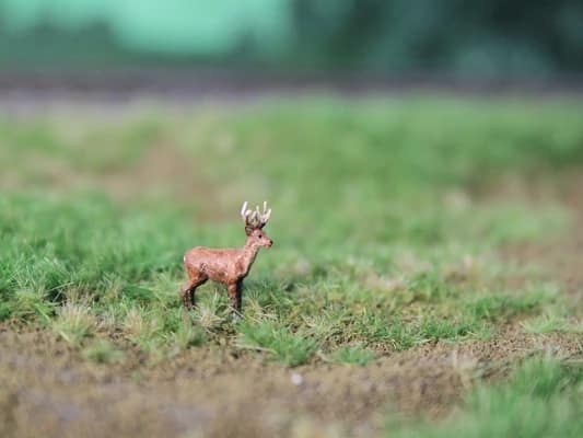 VPS NK02 Hert, vooruit kijkend schaal N