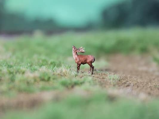 VPS NK04 Hert, etend schaal N