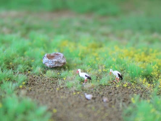 VPS NK05 Ooievaar (5 stuks) schaal N