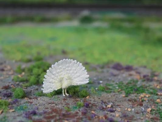 VPS NK09 Pauw "wit" schaal N