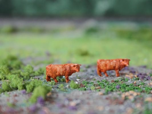 VPS NVPS101 Schotse Hooglander 'classic looks' (2 stuks) schaal N