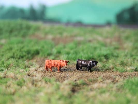 VPS NVPS102 Schotse Hooglander black and brown (2 stuks) schaal N