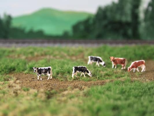 VPS NVPS 206 Witrik zwart en roodbont (5 stuks) schaal N