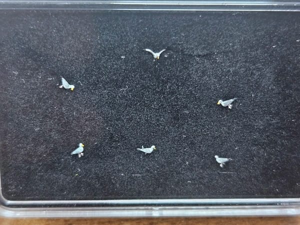 VPS Zilvermeeuwen (schaal N)