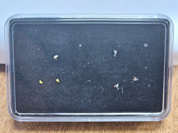 VPS Wilde Eenden (schaal N)